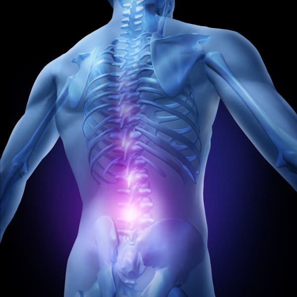 A man with his back turned showing the spine.